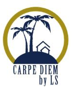 Carpe Diem by LS
