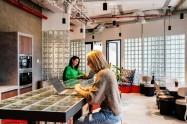 Gallery 01